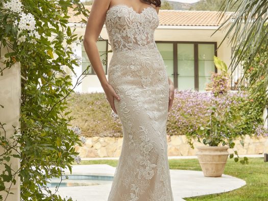 Fishtail lace wedding dress